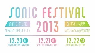 SONIC FESTIVAL 2013 Trailer [upl. by Racklin]