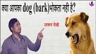 Dog Barking Problem ll Must see II dog and vet II [upl. by Petite256]