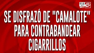 Insólito ¡se disfrazó de camalote para contrabandear cigarrillos [upl. by Aed]