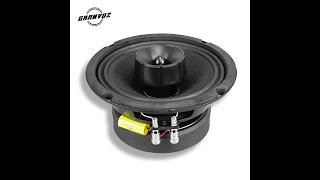 Granvoz 65quot Coaxial Speaker [upl. by Apeed]