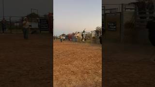 Houston TX bull riding practice [upl. by Nrojb128]