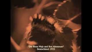 quotDie Biene Maja und ihre Abenteuerquot  Stummfilm auf DVD [upl. by Gnidleif996]