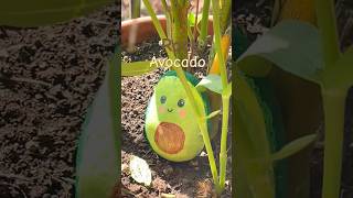 Rock Avocado 🥑  Rock painting 🎨🖌️ sketchycolors diy art rockpainting shorts ytshorts [upl. by Ainotahs]