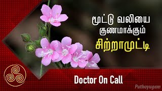 மூட்டு வலியை குணமாக்கும் சித்தாமுட்டி அல்லது சிற்றாமுட்டி Sida cordifolia  Doctor On Call [upl. by White]