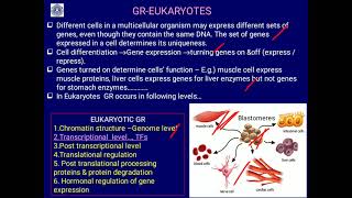 Gene regulation in Eukaryotes [upl. by Yelyr]