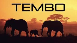 Wahlbeck  Tembo Radio Edit [upl. by Acirat]