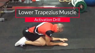 Awesome Lower Trapezius Exercise To Improve Posterior Tilt Of The Scapula [upl. by Bergmans96]