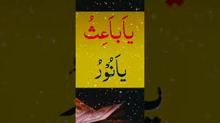 explore amal amallah motivation amalforlove urdu amaal funny love dolatkibarishkawazifa [upl. by Neron]