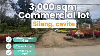 L20924 Silang cavite Commercial lot 3000 sqm titled tagaytay climate [upl. by Moises117]