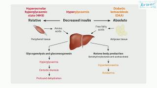 hyperosmolar hyperglycemic syndrome English  Medical terminology for medical students [upl. by Esenej]