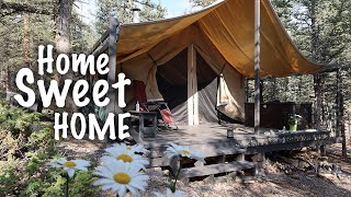 Living in a Tent  Canvas Wall Tent  Spirit Forest  S5 Ep49 [upl. by Crysta]