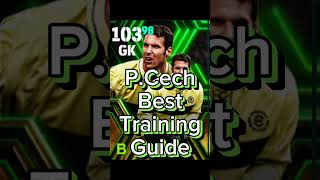 PCech Best Training Guide [upl. by Euqinor579]