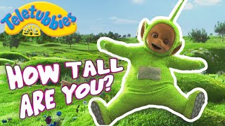 How Tall Are You  Toddler Learning  Grow with the Teletubbies [upl. by Edialeda]