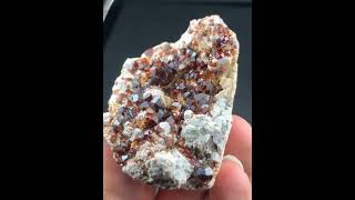 Rare Terminated Natural Red Spessartite Garnets specimen crystals gemstone crystalshop [upl. by Arracahs]