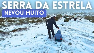 Serra da Estrela 2024  Nevou muito neveemportugal serradaestrela [upl. by Ennovart]