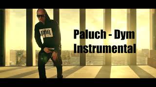 09 Paluch  Dym  Instrumental [upl. by Averat]