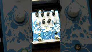 mirror1610 Eathquaker Devices Avalanche Run earthquakerdevices reverb delay [upl. by Llieno]