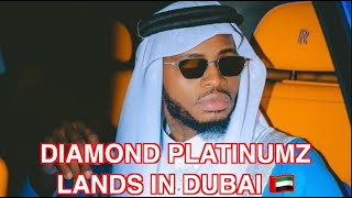 African star Diamond Platinumz arrives in Dubai for fire show at Blu Oasis [upl. by Elamaj]