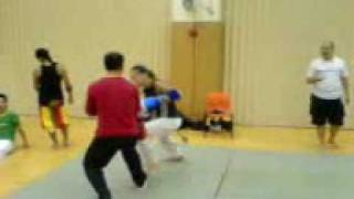 Capoeira vs Kick Boxing [upl. by Hanus]