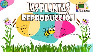 Las Plantas  Reproducción  Aula chachi  Vídeos educativos para niños [upl. by Nytsirc]