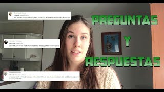 Preguntas y respuestas 1  Petauros  Sugar glider [upl. by Annalla]