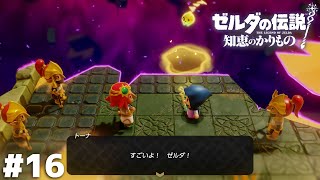 その手柄 ７～８割は 相棒の【ゼルダの伝説 知恵のかりもの】＃１６ [upl. by Aknahs980]