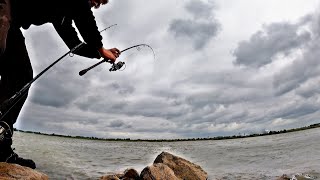 Alles gaat Mis maar toch Tevreden naar Huis Combovissen Barbeel Meerval en of Snoekbaars [upl. by Pauline336]