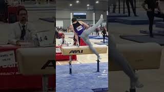 Pommel Horse is HARD😓 [upl. by Names]