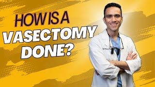 How is A Vasectomy Done [upl. by Pimbley46]