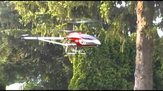 GT8006 and HeliMax Novus 200 flight practice [upl. by Kitarp782]