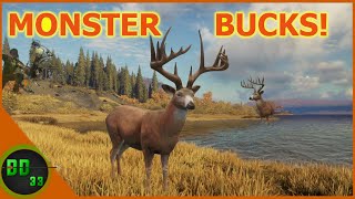 I Found an Incredible Spot for Monster Whitetails Call Of The Wild [upl. by Glennis434]