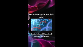 DNA structureMalayalam [upl. by Yorgerg]