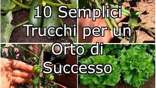 10 Semplici Trucchi per un Orto di Successo [upl. by Noda228]