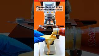 🔴PAPAYA COCONUT DRINK UNDER THE MICROSCOPE 🧐 [upl. by Norved609]