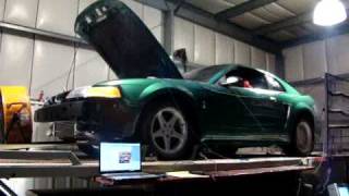 On 3 Performance 4v Cobra Dyno Pull 46 [upl. by Oikim]