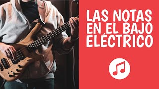 Las Notas en el BAJO ELÉCTRICO Paso a Paso [upl. by Nivert]