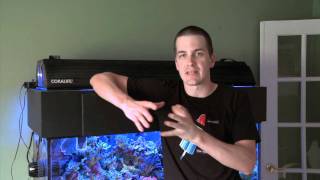 How to Troubleshoot a Problem Saltwater Tank [upl. by Moreno]