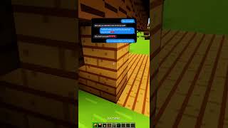 rizzapp THE END IS INSANE😂😂 minecraft minecraftbuilding minecrafter [upl. by Yorgen807]