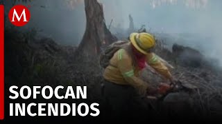 En Veracruz logran liquidar incendio forestal del Valle de Uxpanapa [upl. by Htebharas]