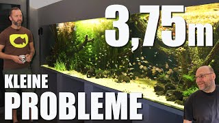 Massives Pflanzenwachstum Pinselalgen und Cyanos  Update von Jochens 3600 Liter Süßwasseraquarium [upl. by Mathilda836]