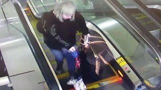 Dog Owner Panics After Pup’s Paw Gets Caught in Escalator [upl. by Inwat596]