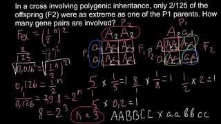 How to solve problems with polygenic inheritance [upl. by Nangatrad]