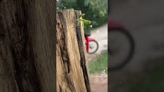 New friend in farm [upl. by Annawd]