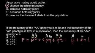 Definition of assortative mating [upl. by Adnana17]