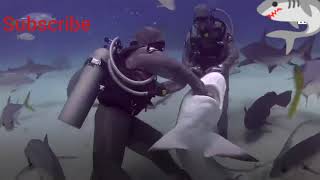 Woman Has Removed Over 300 Hooks From Sharks Mouths  The Juda Tv Wild Hearts [upl. by Jeannette]