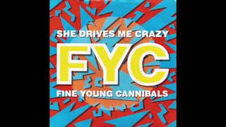 FIne Young Cannibals  She Drives Me Crazy Torisutan Extended [upl. by Mareah]