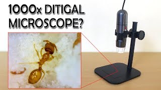 1000x Digital Microscope Review  Sample images  Gearbest [upl. by Artim]