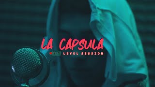 21 LEVEL SESSION  LOUIE VITT ProdLevelMusicLaCapsula [upl. by Aramenta]