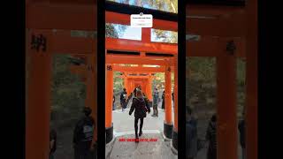 Inari Shrine In KyotoJapan travel everyone fy foryou [upl. by Nerak]