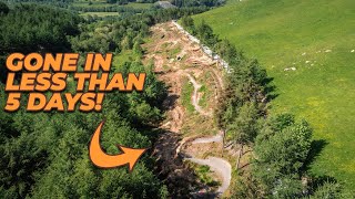 The Felling Begins  Revolution Bike Park Update [upl. by Ellebana715]